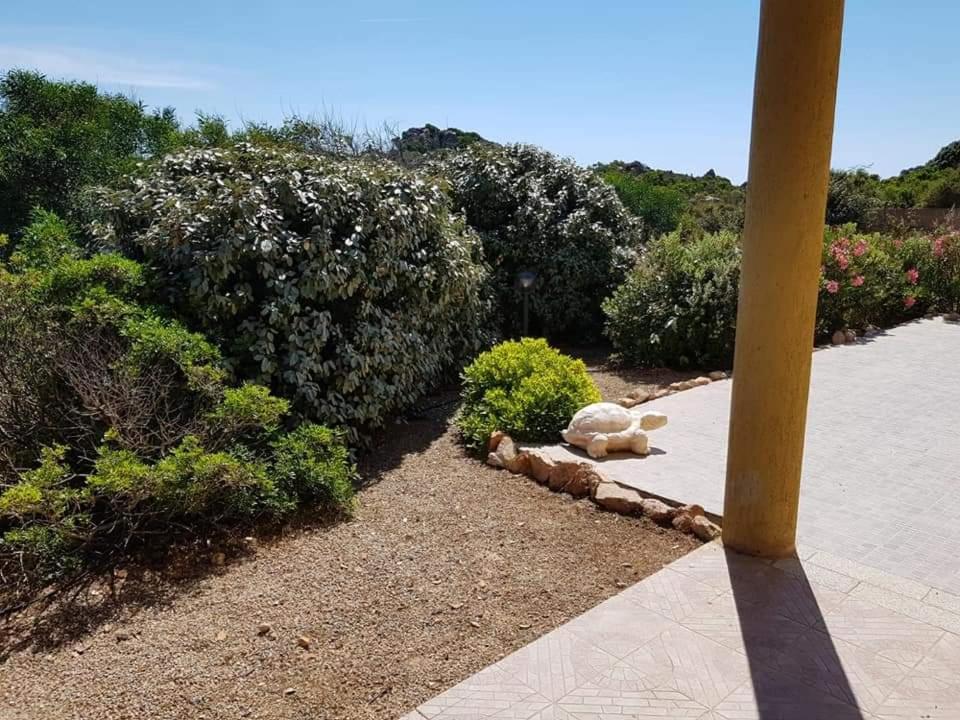 Casa Vacanze Villa Sandrina คอสตาพาราดีโซ ภายนอก รูปภาพ