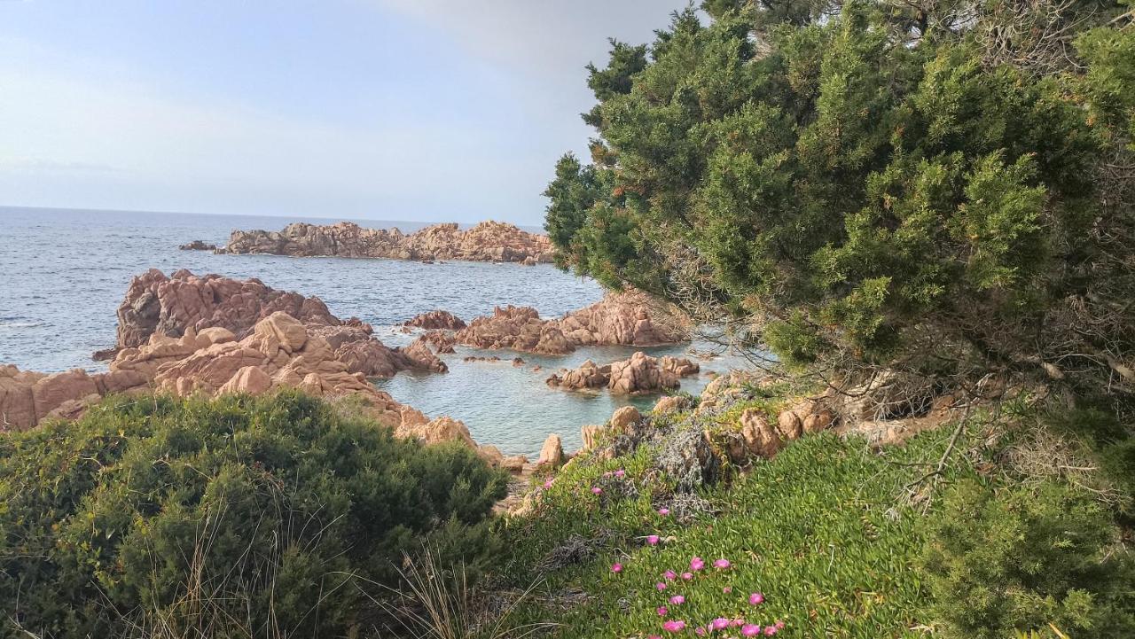 Casa Vacanze Villa Sandrina คอสตาพาราดีโซ ภายนอก รูปภาพ
